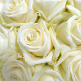 MONDIAL WHITE  -50 STEMS