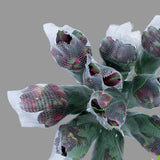 ALSTROEMERIA ASSORTED NETTED SELECT - 60 STEMS