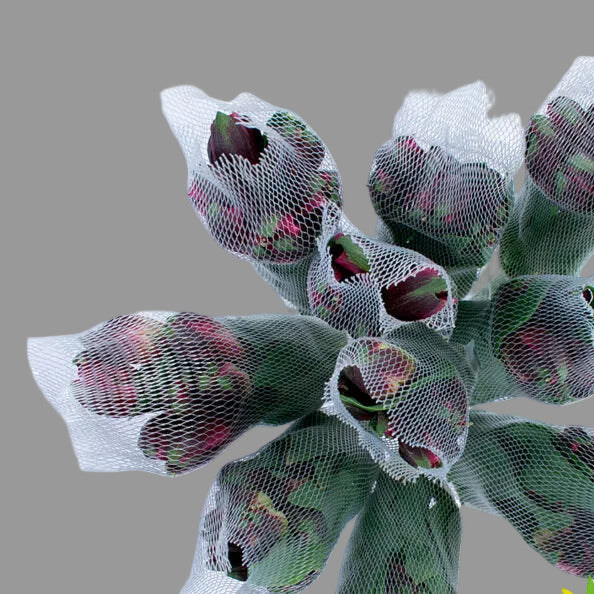 ALSTROEMERIA ASSORTED NETTED SELECT - 60 STEMS